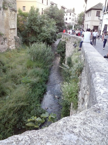 Vista del Río Darro. Albaicín. Granada. Foto: francisco López