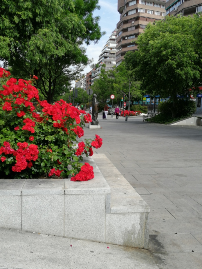 Avenida de la Constitución. Granada. Foto: Francisco López